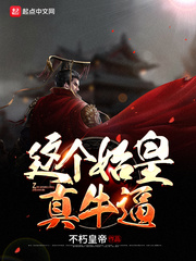 這個(gè)始皇真牛逼