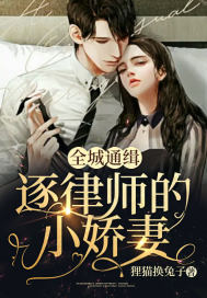 全城通緝：逐律師的小嬌妻