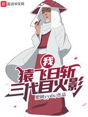 我，猿飛日斬！三代目火影