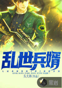 亂世兵婿