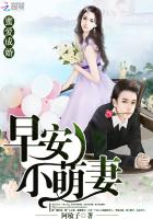 蜜愛成婚：早安，小萌妻