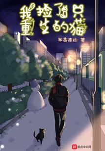 我撿了只重生的貓