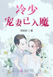 冷少寵妻已入魔