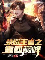 榮耀王者之重回巔峰