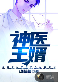 神醫王婿
