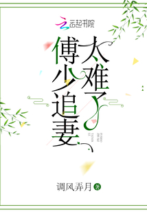 傅少追妻太難了