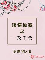 談情說案之一玫千金