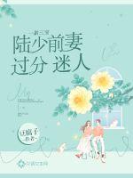 一胎三寶：陸少前妻過分迷人