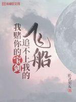 我賭你的寶劍追不上我的飛船