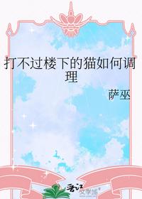 打不過樓下的貓如何調理