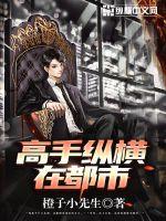 高手縱橫在都市