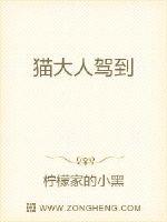 貓大人駕到