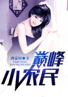 巔峰小農(nóng)民