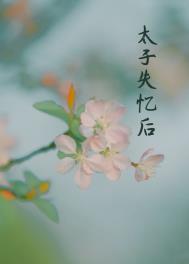 丞相夫人失憶后