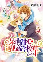 呆萌甜心：遇見高冷校草