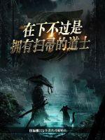 在下不過(guò)是擁有掃帚的道士