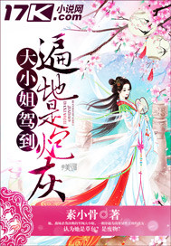 大小姐駕到之遍地是炮灰