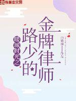 暖城時光之路少的金牌律師
