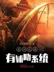 星河之我有輔助系統(tǒng)
