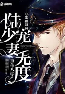 重生八零之陸少寵妻無度