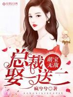 萌寶無敵：總裁娶一送二