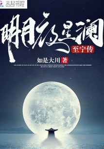 明月夜星瀾
