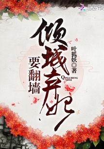 傾城棄妃要翻墻