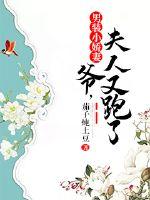 男裝小嬌妻：爺，夫人又跑了