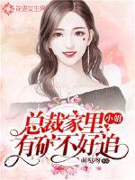 小姐，總裁家里有礦不好追