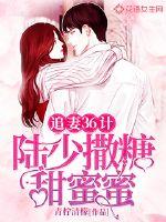 追妻36計：陸少撒糖甜蜜蜜