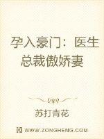 孕入豪門：醫生總裁傲嬌妻