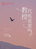 教授，代練需要嗎？