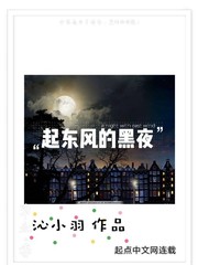 起東風的黑夜