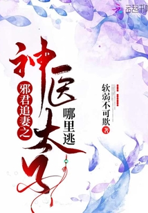 邪君追妻之神醫太子哪里逃