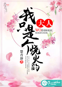 大人，我只是個燒火的