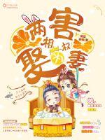 兩害相權娶為妻