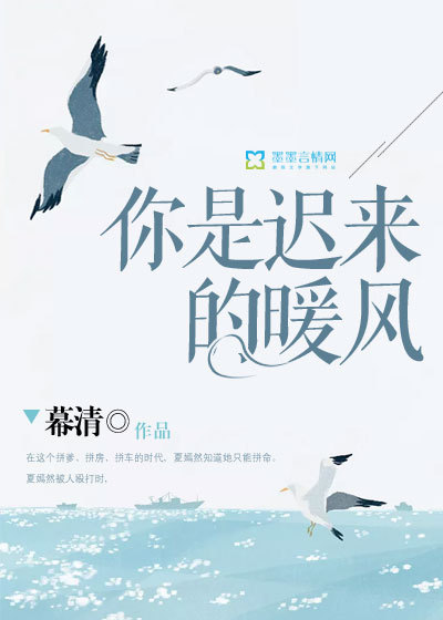 你是遲來的暖風(fēng)