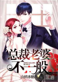 總裁老婆不一般