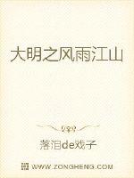 大明之風雨江山