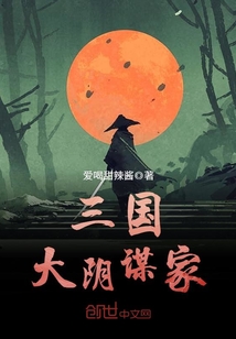 三國大陰謀家