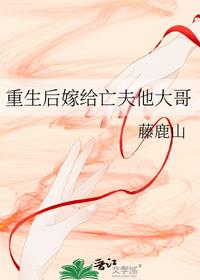 重生后嫁給亡夫他大哥