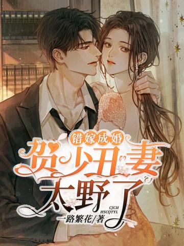 賀少丑妻太野了