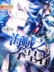 海賊之一拳皇者