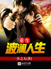 重生波瀾人生