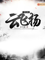 三國無雙之云飛揚