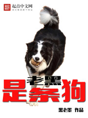 老黑是條狗