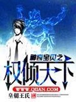 神奇寶貝之權(quán)傾天下