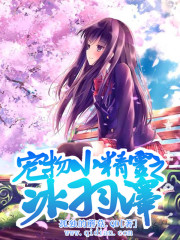 寵物小精靈之冰羽澤