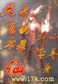 天上飛的不是仙