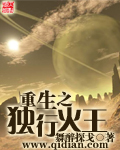 重生之獨行火王
